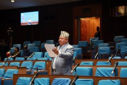 पशुपति सुन प्रकरणमा सांसद आलेको व्यङ्ग्य- तार काट्ने मुसा पशुपतिनाथ छिरेको हो?